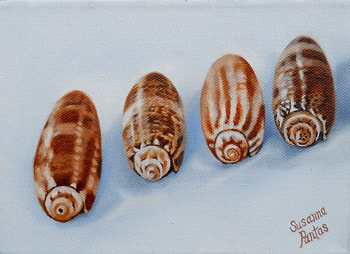 Commission Olive Shells by Susanna Pantas